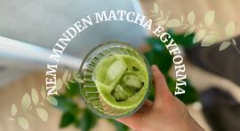 Nem minden matcha egyforma: hogyan ismerjük fel a jó minőségű matchát
