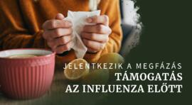 Az immunrendszer támogatása az influenzaszezon előtt