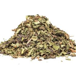 NANA MENTA (Mentha spicata)
