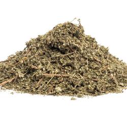 MUNYA (Minthostachys setosa) - gyógynövény