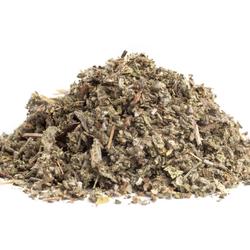 ZSÁLYA LEVELEK (Salvia officinalis) - gyógynövény