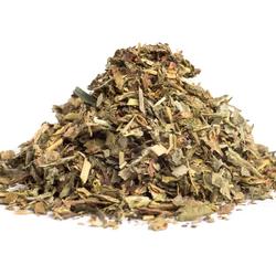 PALÁSTFŰ SZÁR (Alchemilla vulgaris) - gyógynövény