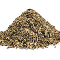 BAZSALIKOM SZÁR+LEVÉL (Ocimum basilicum)