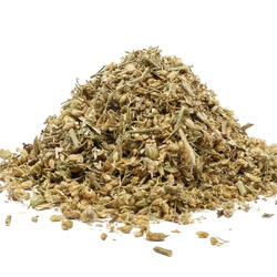 Közönséges cickafark(Achillea millefolium)