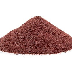 Cékla BIO (Beta vulgaris var. Vulgaris) – por