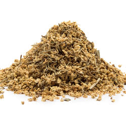 FEKETE BODZA VIRÁG (Sambucus nigra) - gyógynövény