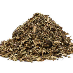 KISVIRÁGÚ FÜZIKE  (Epilobium parviflorum) - gyógynövény
