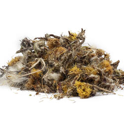  MARTILAPU VIRÁGA BIO  (Tussilago farfara) - gyógynövény