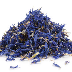 Búzavirág szirom (Centaurea cyanus)