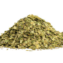 GUAYUSA (Ilex Guayusa)