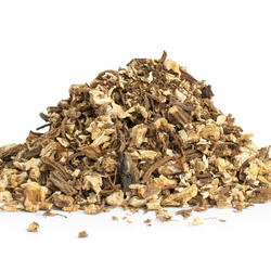 Orvosi angyalgyökér(Archangelica officinalis) – gyógynövény