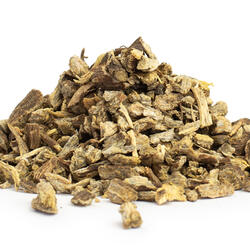 Kasvirág (Echinacea purpurea) gyökér – gyógynövény