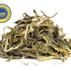 Darjeeling Moonlight Upper Fagu First Flush - fekete tea