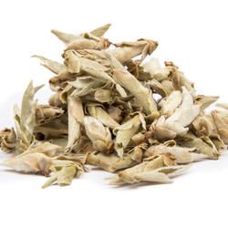 CHINA  YUNNAN WILD TEA BUDS - zöld tea